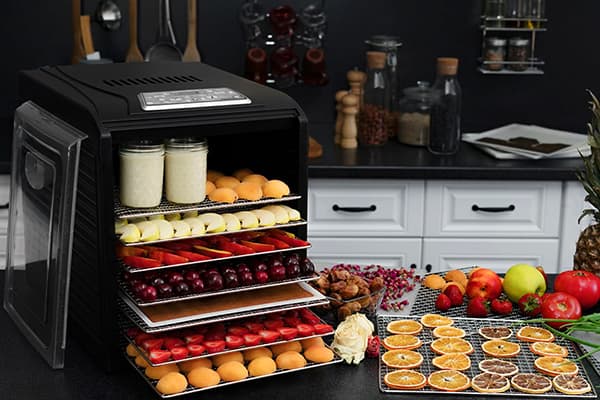 Fruit in a dehydrator