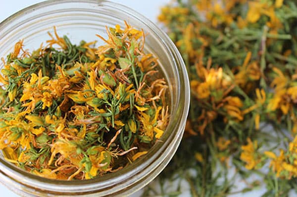 Hypericum flowers
