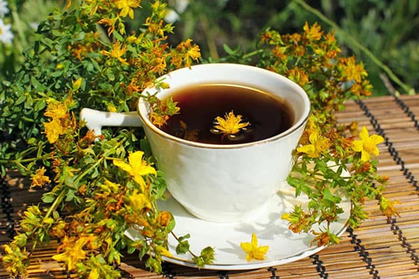 Hypericum tea