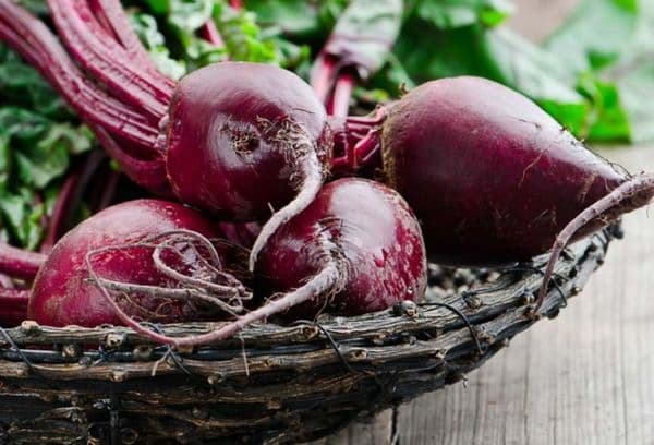 Beet Vase