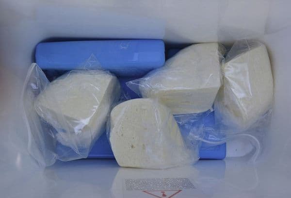 Cheese in the freezer