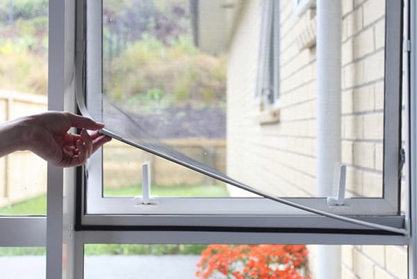 Mosquito net on magnets