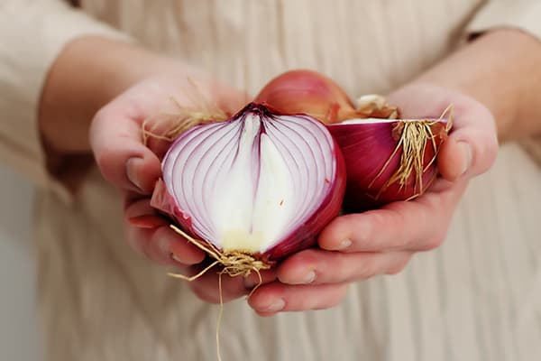 Chopped Onions