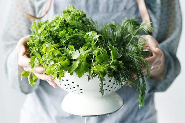 Fresh greens