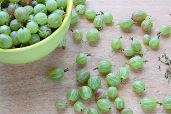 Fresh gooseberries