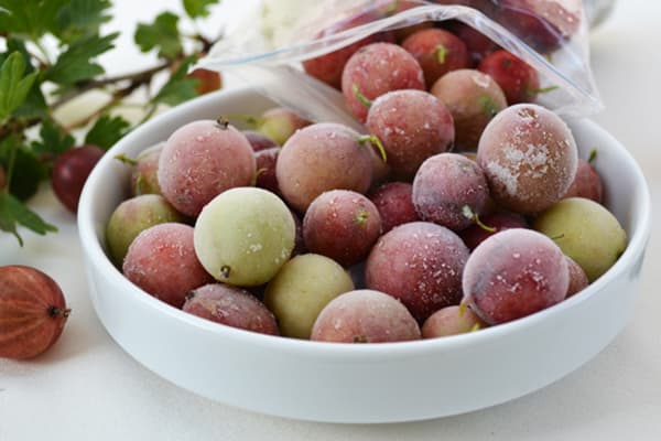 Gooseberry Frozen