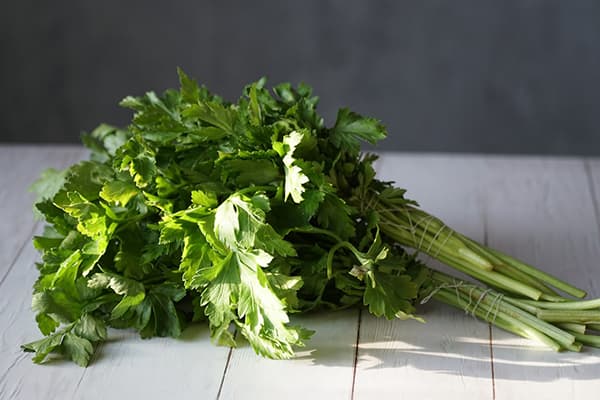 Two bunches of parsley