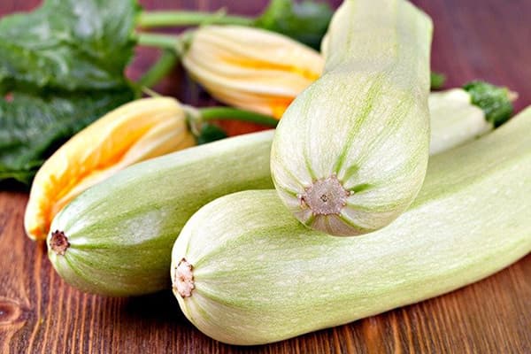 Fresh zucchini