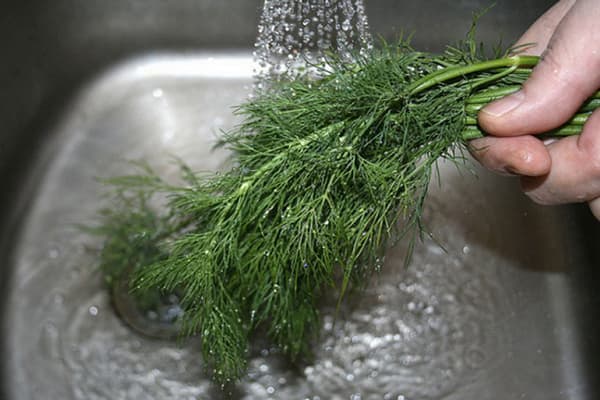 Washing dill