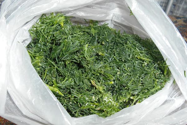 Frozen Chopped Dill