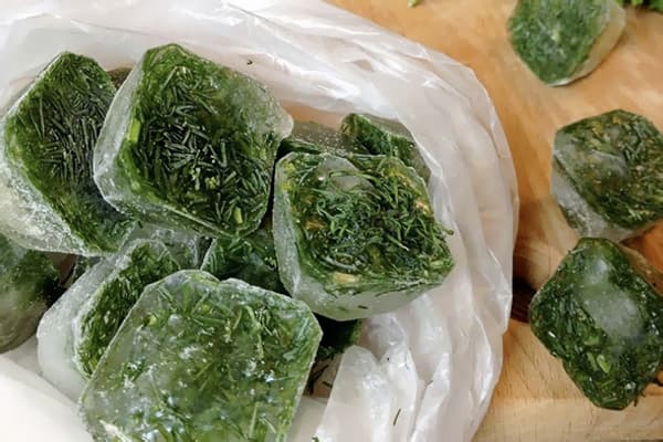 Ice cubes with dill