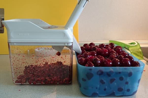 Separation of seeds from cherries