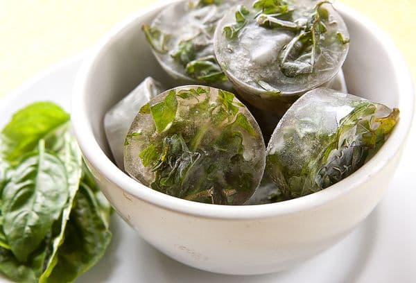 Frozen basil in pieces of ice