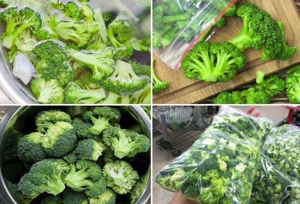 Broccoli freeze