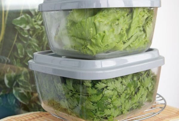 Zaļumi plastmasas traukos