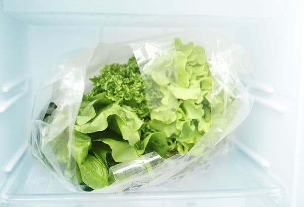 Salad leaves in the freezer
