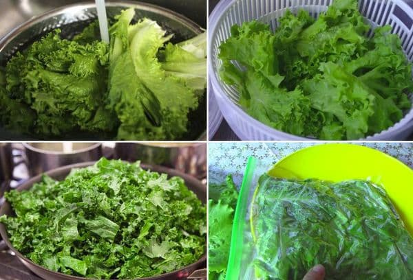 Cooking and freezing lettuce