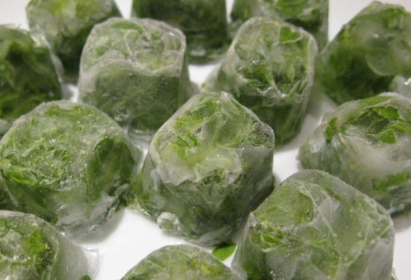 ice cubes with greens