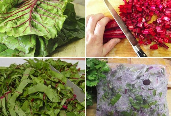 Freezing beet tops