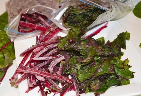Frozen Beet Stalks