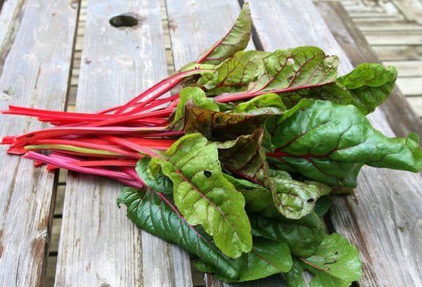 Fresh beet tops