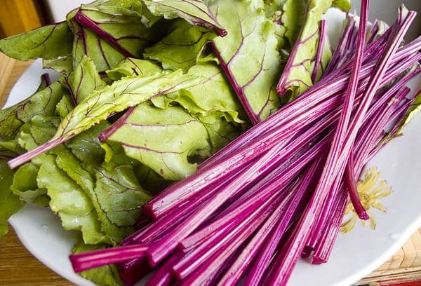 Beet stalks and leaves