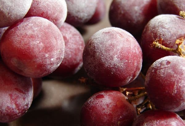 whole berries freezing