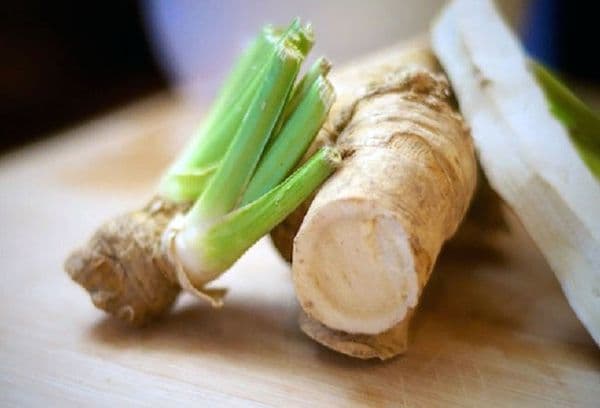 Horseradish root