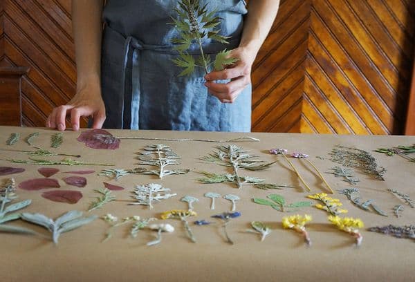 Picking plants