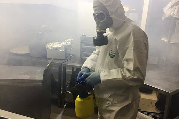 Hot Mist Processing