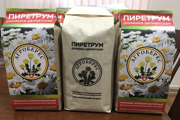 Pyrethrum Powder
