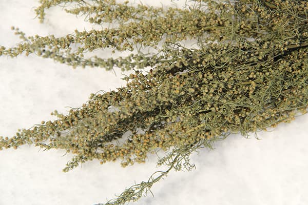 Dry wormwood