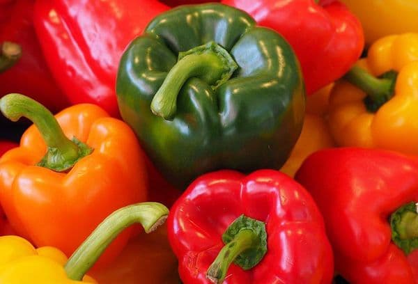 Fresh bell pepper