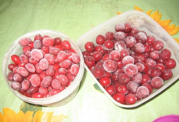 Frozen tomatoes