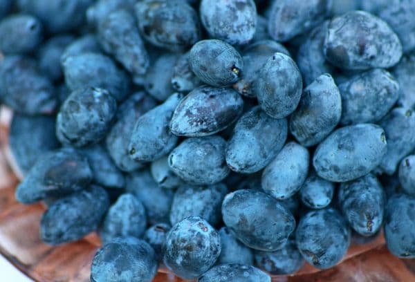 Blue berries