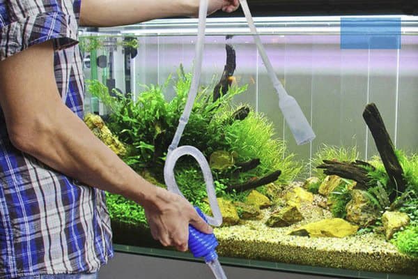 Cleaning the aquarium before changing the water