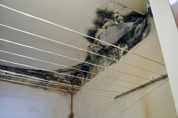 Fungus in the bathroom