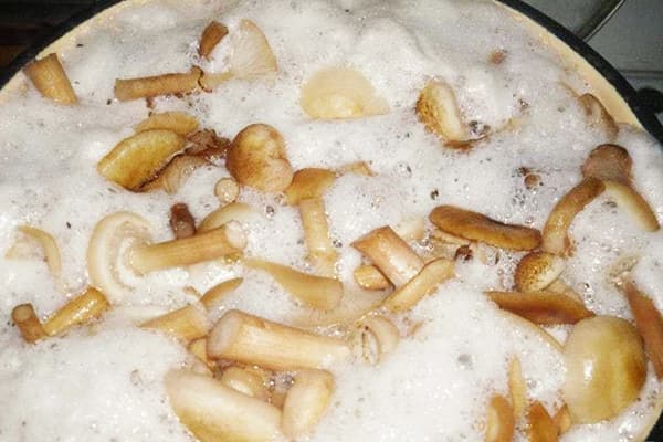 Mushroom cooking foam