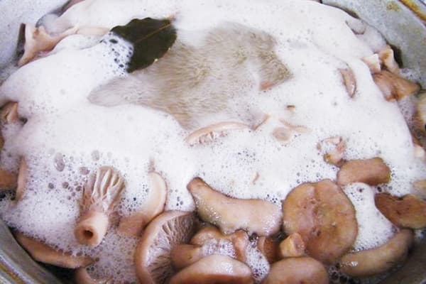 Mushroom cooking