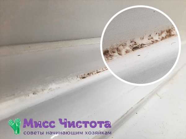 Mold in the bathroom