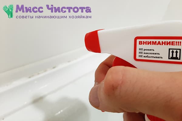 Removing fungus in the bathroom with a special tool