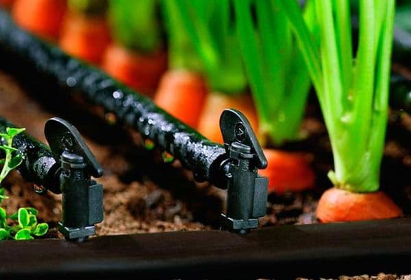 Drip irrigation