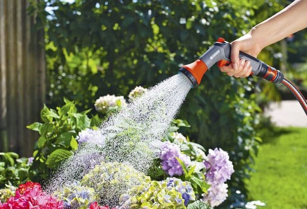 Watering flowers in a summer cottage