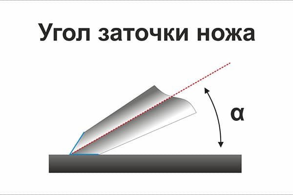Standard knife sharpening angle