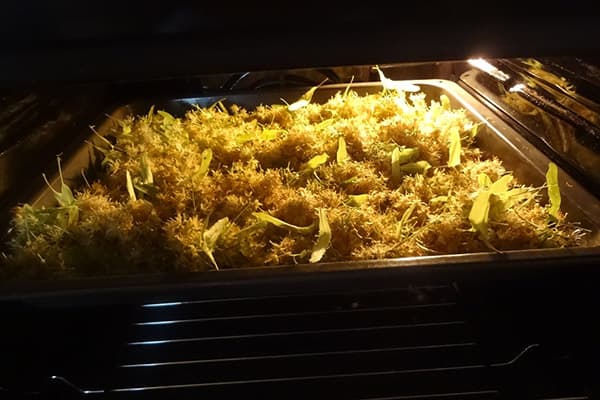 Lime blossom in the oven
