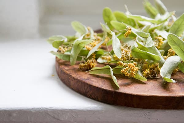 Linden flowers