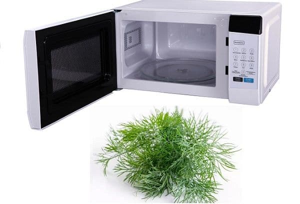 Microwave and dill