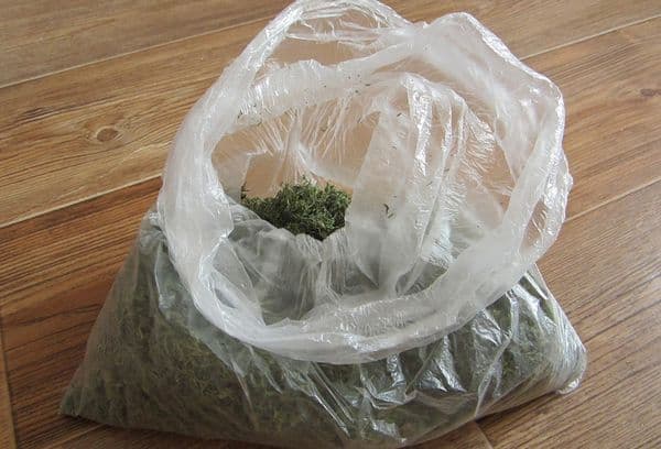 dill in the package