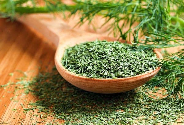 Dried dill on a wooden spoon