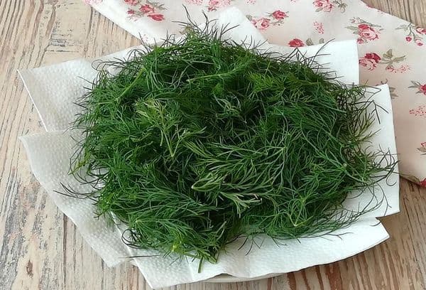 drying dill